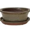 Ceramic Bonsai Pot/Saucer - Mustard Oval - 6 1/8" X 4 1/2" X 2" With Felt Feet -Healthy Plant Shop 14681mustardoval 62366.1644514191