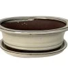 Ceramic Bonsai Pot With Saucer - Beige Oval - 8" X 6.25" X 3" 2 Ceramic Bonsai Pot With Saucer - Beige Oval - 8" X 6.25" X 3" -Healthy Plant Shop 14682beigoval 14151.1655476573