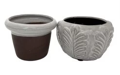 Leaf Self Watering Glazed Ceramic Pot - White - 6.25 X 4.75" 5 Leaf Self Watering Glazed Ceramic Pot - White - 6.25 X 4.75" -Healthy Plant Shop 50252white 28534.1657229606
