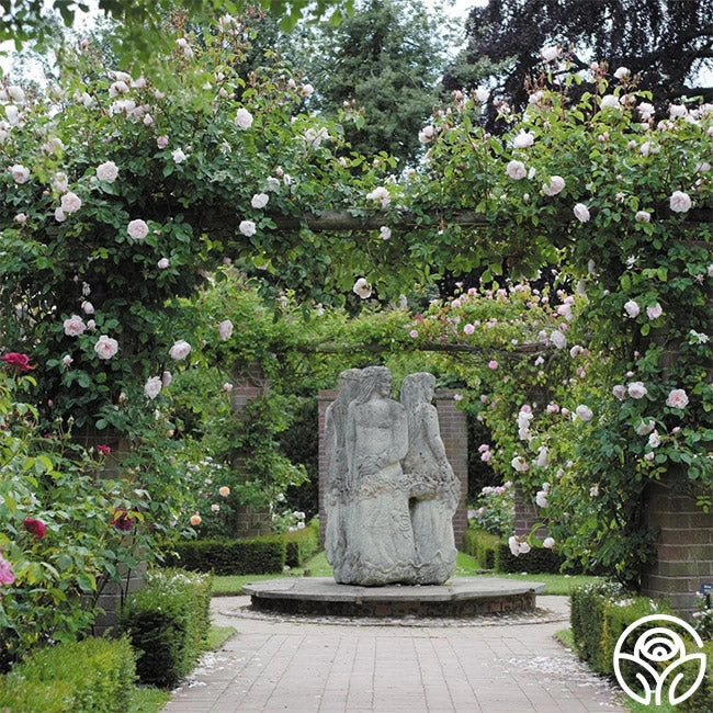 The Generous Gardener™ 7 The Generous Gardener™ - Image 5