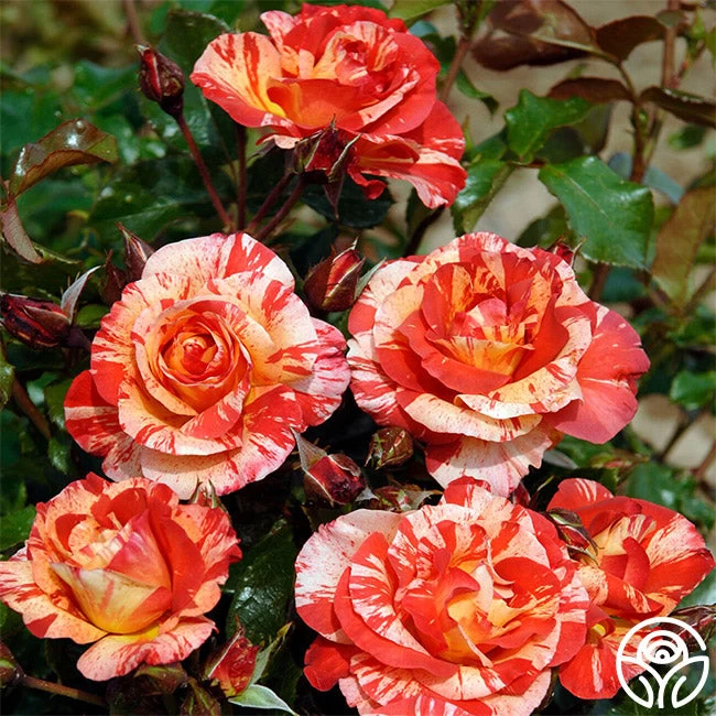 Alfred Sisley 3 Alfred Sisley