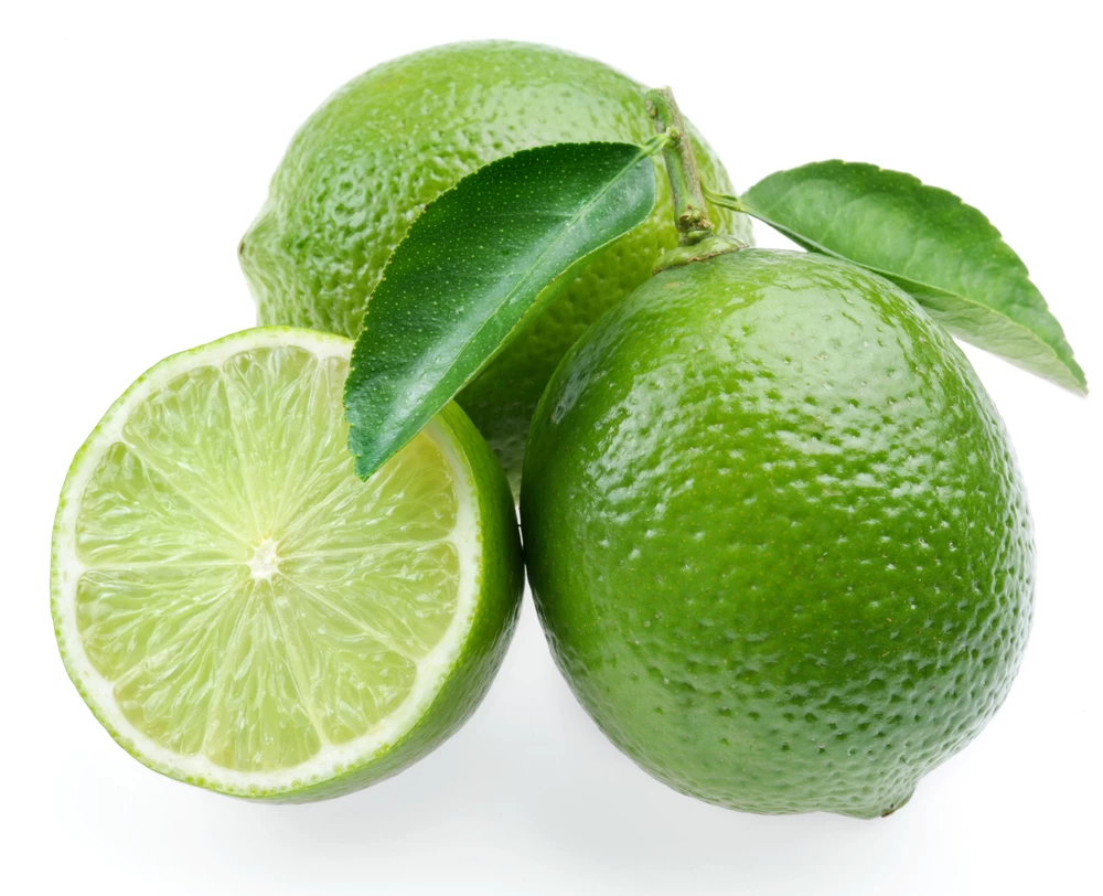 Persian Lime Tree - Fruit Bearing Size -6" Pot-NO SHIP To TX, FL, AZ, CA, LA, HI 4 Persian Lime Tree - Fruit Bearing Size -6" Pot-NO SHIP To TX, FL, AZ, CA, LA, HI - Image 2