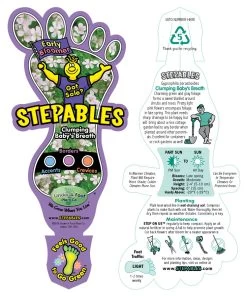 Babies Breath Mouse Ear - Gypsophila Cerastioides - Quart Pot -Healthy Plant Shop api3knjfw 12261.1592334537