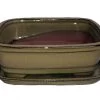 Ceramic Bonsai Pot/Attached Saucer - Mustard - 8" X 6.25" X 3" + Felt Feet 2 Ceramic Bonsai Pot/Attached Saucer - Mustard - 8" X 6.25" X 3" + Felt Feet -Healthy Plant Shop apicaiodl 33214.1592329039