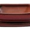 Ceramic Bonsai Pot/Attached Saucer - Parisian Red - 8" X 6.25" X 3" + Felt Feet 1 Ceramic Bonsai Pot/Attached Saucer - Parisian Red - 8" X 6.25" X 3" + Felt Feet -Healthy Plant Shop apiqkbahg 91526.1592326430