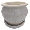 Speckle Planter With Attached Saucer - Cream - 6" X 5 1/2" 2 Speckle Planter With Attached Saucer - Cream - 6" X 5 1/2" -Healthy Plant Shop apivx3s2v 61608.1592327998