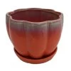 Orange Petal Bowl Ceramic Pot With Attached Saucer - 7.5" X 5.5" -Healthy Plant Shop apivy3krf 75605.1592329958