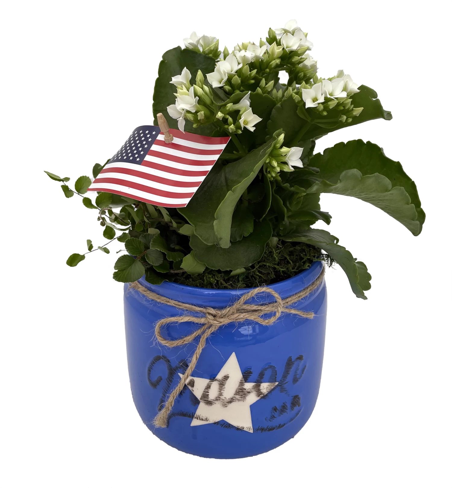 Glory Blue Mason Jar Ceramic Planter With Live Kalanchoe And Fern Plants 3 Glory Blue Mason Jar Ceramic Planter With Live Kalanchoe And Fern Plants
