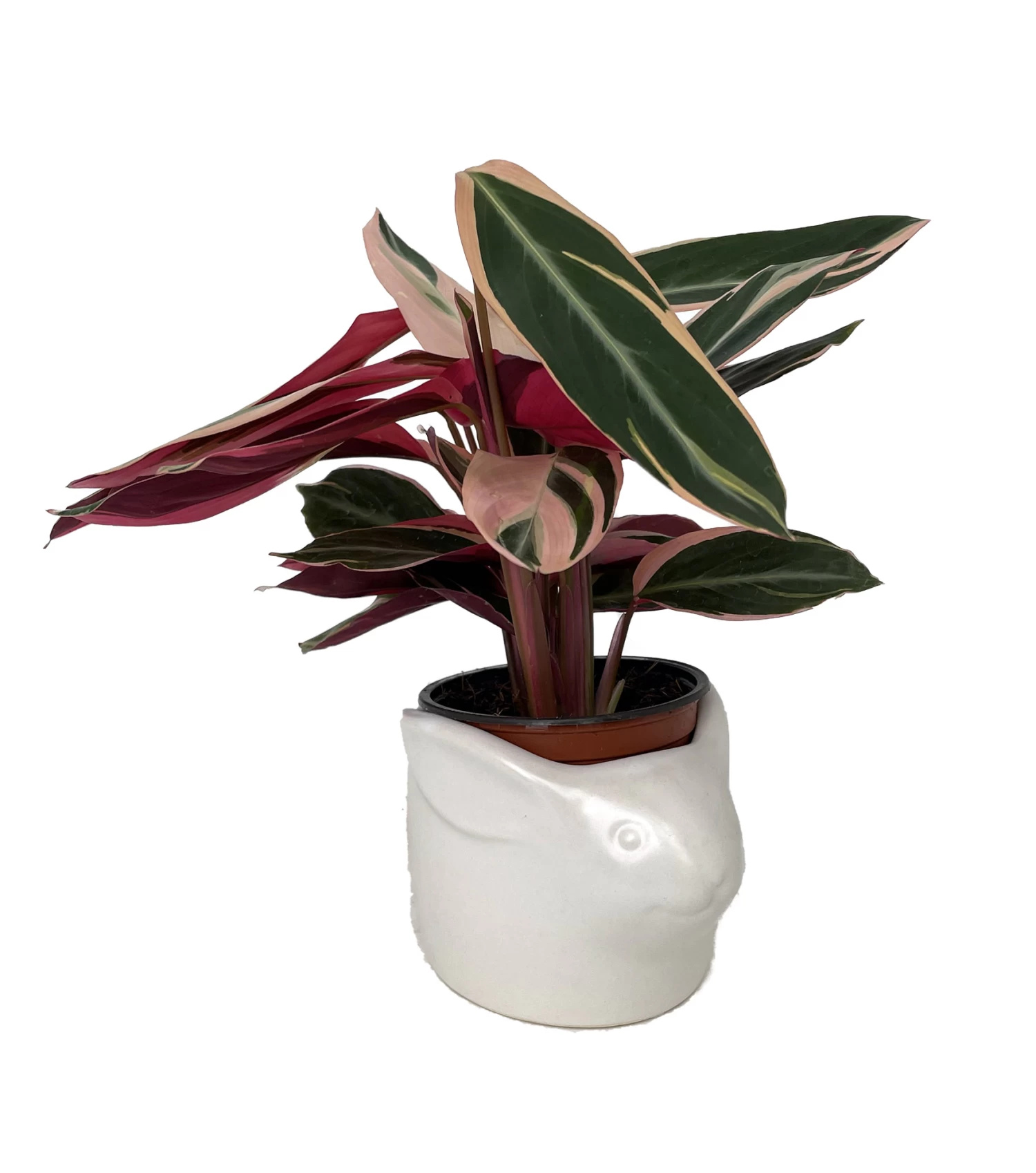 White Bunny Rabbit Ceramic Animal Pot - 6" X 4" - NEW 3 White Bunny Rabbit Ceramic Animal Pot - 6" X 4" - NEW