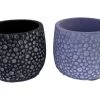 Double Bubbles Caprise Cement Planters - 4.25" X 4" - Two Pack- 1 Black And 1 Blue 1 Double Bubbles Caprise Cement Planters - 4.25" X 4" - Two Pack- 1 Black And 1 Blue -Healthy Plant Shop dblbubblepots 87702.1696524967