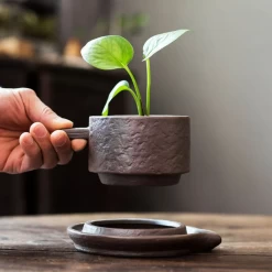 Creative Ceramic Planter With Saucer & Live Peperomia Plant 9 Creative Ceramic Planter With Saucer & Live Peperomia Plant -Healthy Plant Shop hirtcoffee3 93891.1693163957