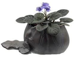 Creative Lotus Leaf Ceramic Planter With Live Miniature African Violet