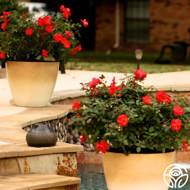 Miracle On The Hudson® 7 Miracle On The Hudson® - Image 5