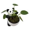 Lucky Panda Planter With Chinese Money Plant And Sheet Moss - 4.5" X 4.75" 1 Lucky Panda Planter With Chinese Money Plant And Sheet Moss - 4.5" X 4.75" -Healthy Plant Shop pandachmone 50880.1697032129