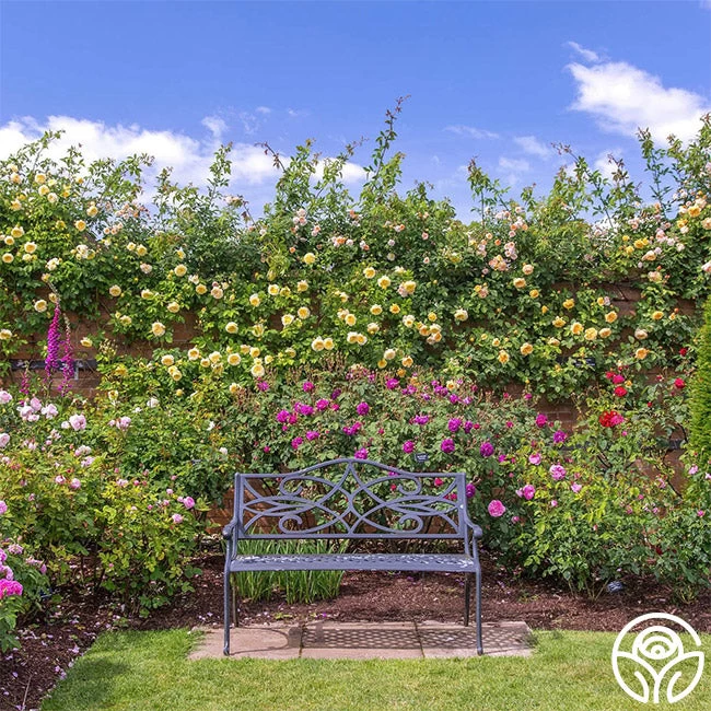 The Pilgrim® 8 The Pilgrim® - Image 6