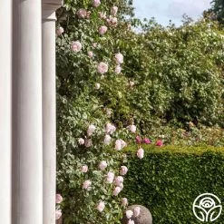 The Generous Gardener™ 20 The Generous Gardener™ -Healthy Plant Shop thegenerousgardener logo 03